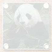 Riant Panda Glasuntersetzer (Rückseite)