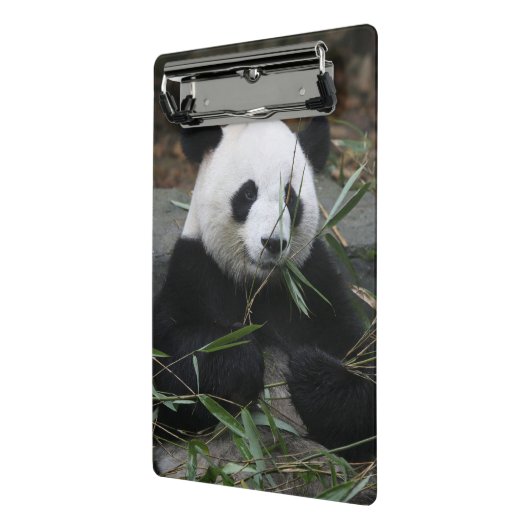 Riant Panda Mini Klemmbrett (Gewinkelt2)