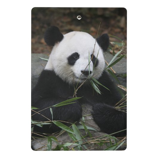 Riant Panda Mini Klemmbrett (Rückseite)