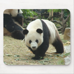 Riant Panda Mousepad