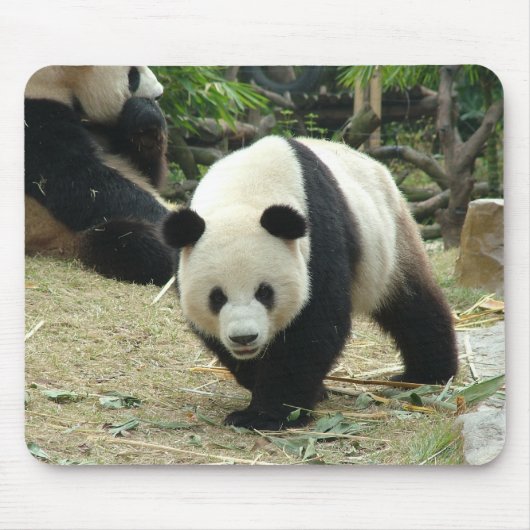 Riant Panda Mousepad (Vorne)