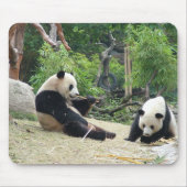 Riant Panda Mousepad (Vorne)