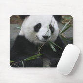 Riant Panda Mousepad (Mit Mouse)