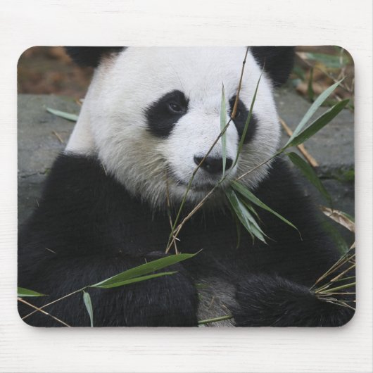 Riant Panda Mousepad (Vorne)