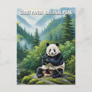 Riant Panda National Park China Travel Postkarte