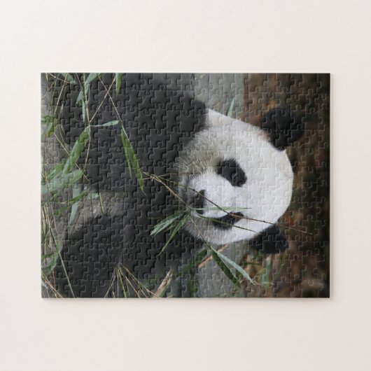Riant Panda Puzzle (Horizontal)