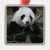 Riant Panda Silbernes Ornament (Vorne)