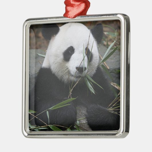 Riant Panda Silbernes Ornament (Links)