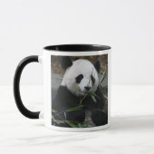 Riant Panda Tasse (Links)
