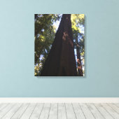 Riant Red Woods Leinwanddruck (Insitu (Holzboden))