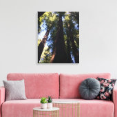 Riant Red Woods Leinwanddruck (Insitu (Wohnzimmer))