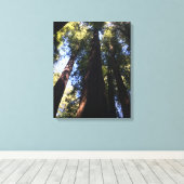 Riant Red Woods Leinwanddruck (Insitu (Holzboden))