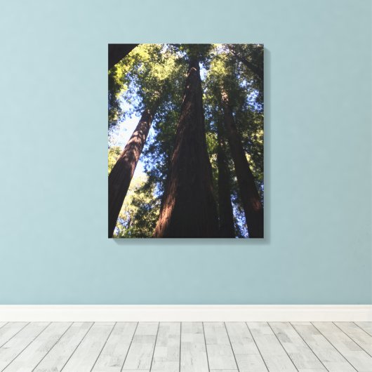 Riant Red Woods Leinwanddruck (Insitu (Holzboden))