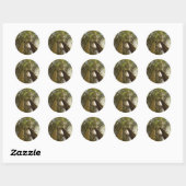 Riant Redwoods Sticker (Blatt)