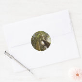 Riant Redwoods Sticker (Umschlag)