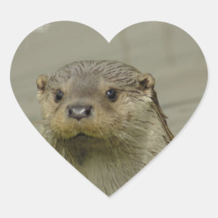 Riant River Otter Stickers
