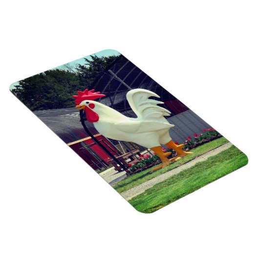 Riant Rooster Magnet (Rechte Seite)