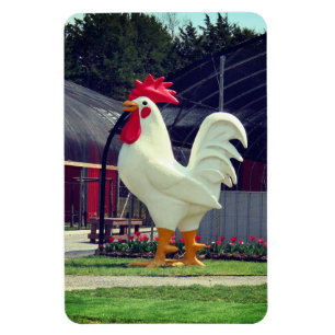 Riant Rooster Magnet