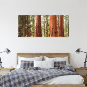 Riant Sequoia Panorama Leinwanddruck (Insitu (Schlafzimmer))