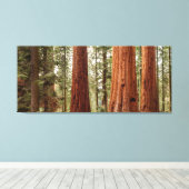 Riant Sequoia Panorama Leinwanddruck (Insitu (Holzboden))