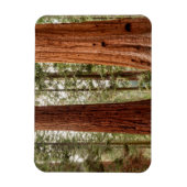 Riant Sequoia Panorama Magnet (Vertikal)