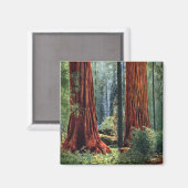Riant Sequoia Trunks Magnet (Vorderseite/Rückseite)