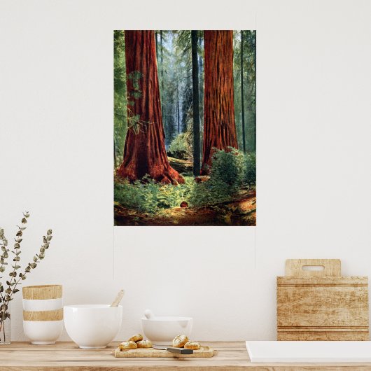 Riant Sequoia Trunks Poster (Küche)