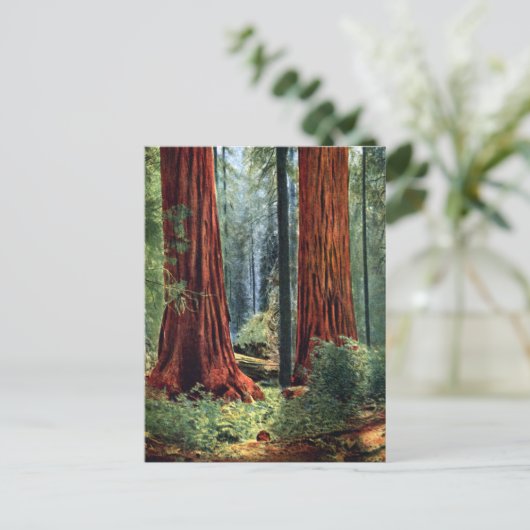 Riant Sequoia Trunks Postkarte (Stehend Vorderseite)
