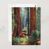 Riant Sequoia Trunks Postkarte (Vorne/Hinten)