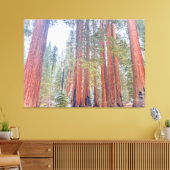 Riant Sequoias Leinwanddruck (Insitu (Wohnzimmer))