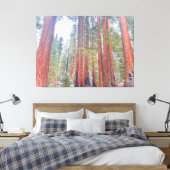 Riant Sequoias Leinwanddruck (Insitu (Schlafzimmer))