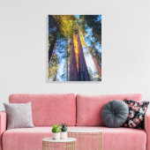 Riant Sequoias Leinwanddruck (Insitu (Wohnzimmer))