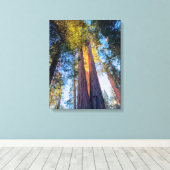 Riant Sequoias Leinwanddruck (Insitu (Holzboden))