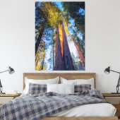 Riant Sequoias Leinwanddruck (Insitu (Schlafzimmer))