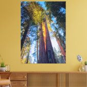 Riant Sequoias Leinwanddruck (Insitu (Wohnzimmer))