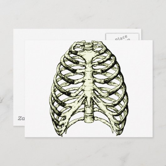 Rib Cage Bronze Postkarte (Vorne/Hinten)