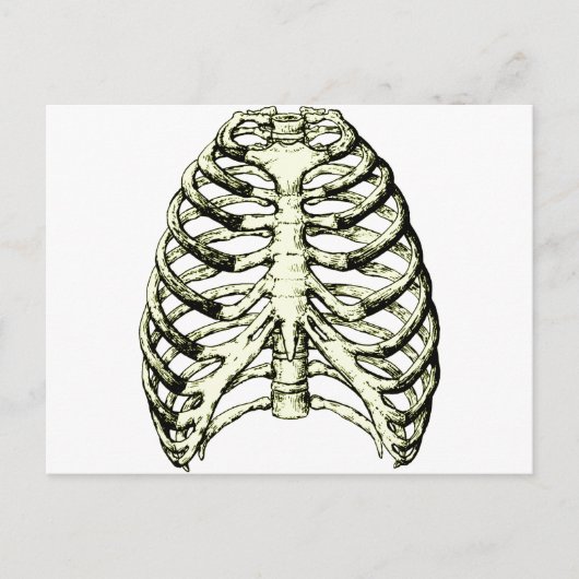 Rib Cage Bronze Postkarte (Vorderseite)