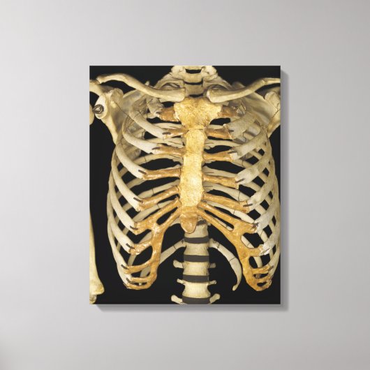 Rib Cage Leinwanddruck (Vorderseite)