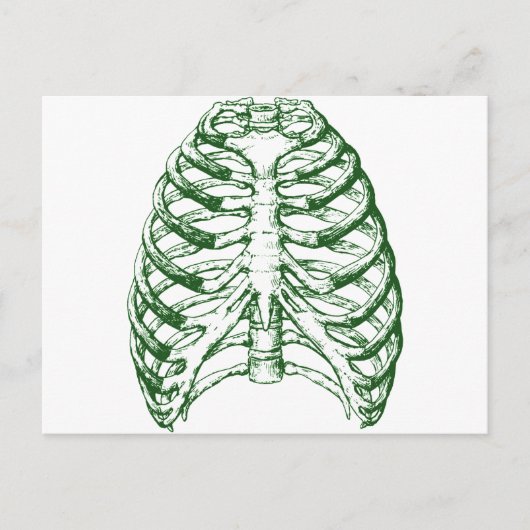 Rib Cage Postkarte (Vorderseite)