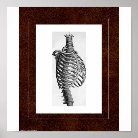 Rib Spirit House Poster (Vorne)