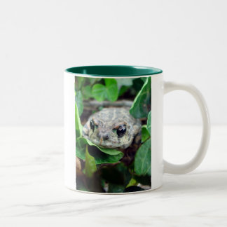 Ribbit, Ribbit Zwei-Ton Tasse