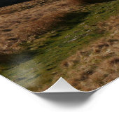 Ribblehead Viadukt Poster (Ecke)