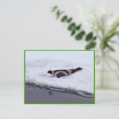 Ribbon-Siegel Postkarte (Stehend Vorderseite)