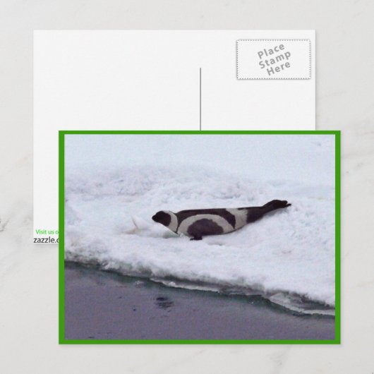 Ribbon-Siegel Postkarte (Vorne/Hinten)