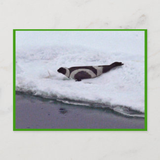 Ribbon-Siegel Postkarte