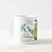 Ribosome mRNA tRNA molecules proteins Diagram  Kaffeetasse (Vorderseite Links)