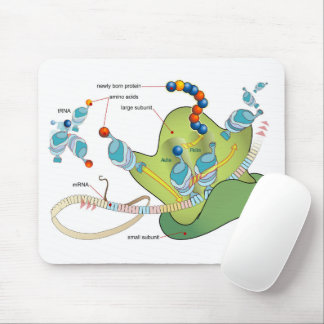 Ribosome mRNA tRNA molecules proteins Diagram  Mousepad