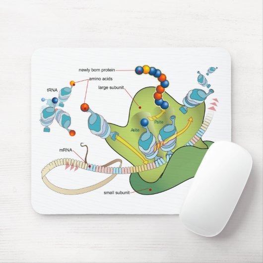 Ribosome mRNA tRNA molecules proteins Diagram  Mousepad (Mit Mouse)
