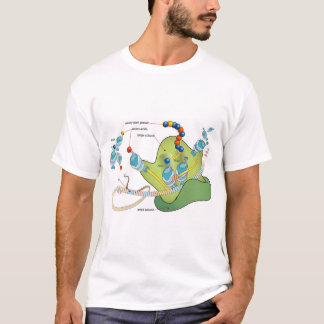 Ribosome mRNA tRNA molecules proteins Diagram  T-Shirt