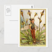 Ribwort Plaintain Fairy Postkarte (Vorne/Hinten)